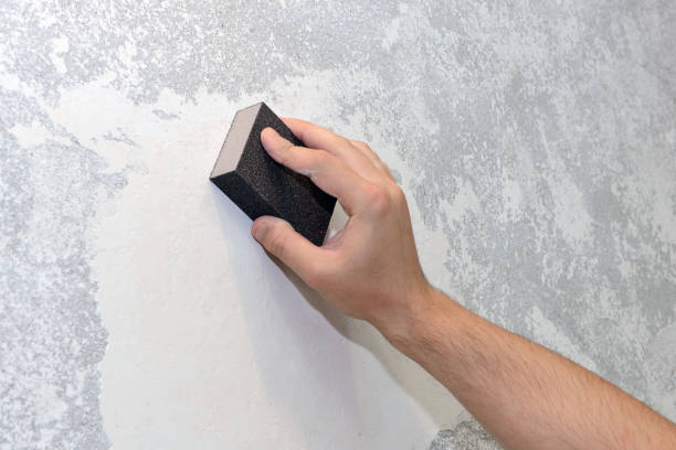 Best Air Quality Testing for Mold Spores  in Manchester, OH
