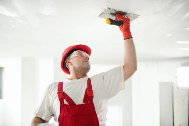Reliable Manchester, OH Mold Removal Solutions
