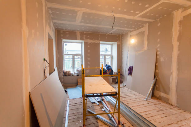 Best Mold Odor Removal Services  in Manchester, OH